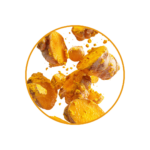 curcuma
